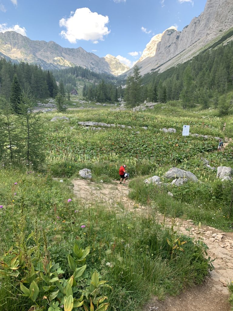 Koca pri Triglavskih Jezerih