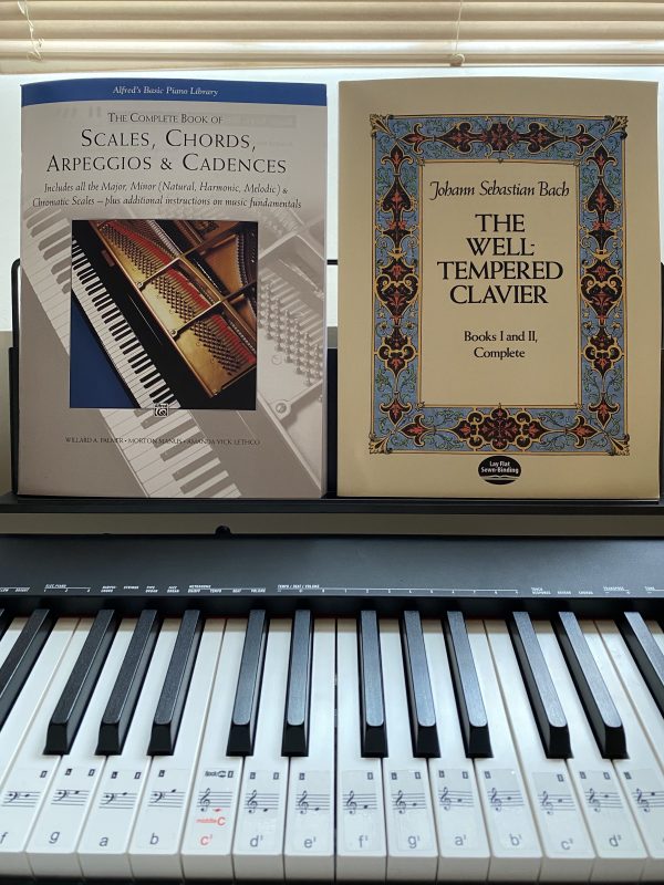 Pianist's villanelle