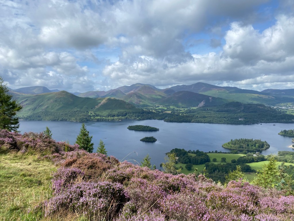 Derwentwater and Catbells from Walla Crag