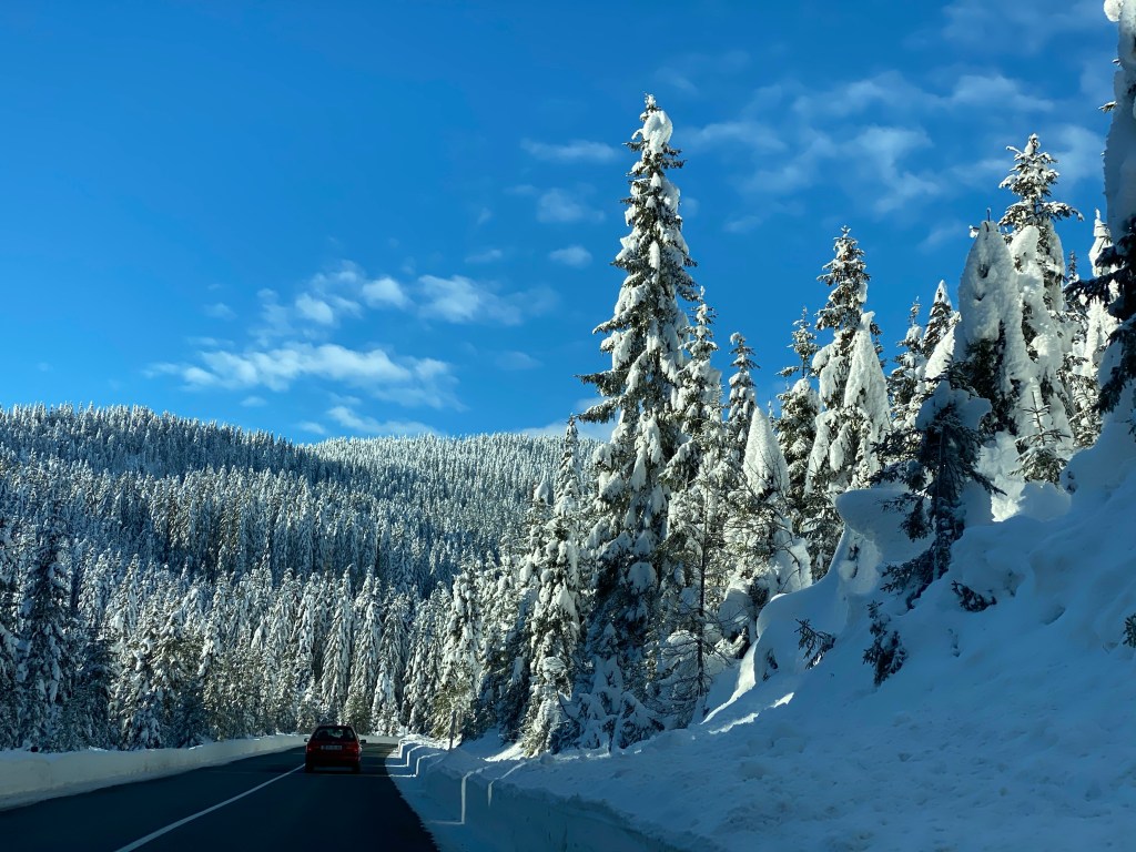 Spruce trees, road, snow