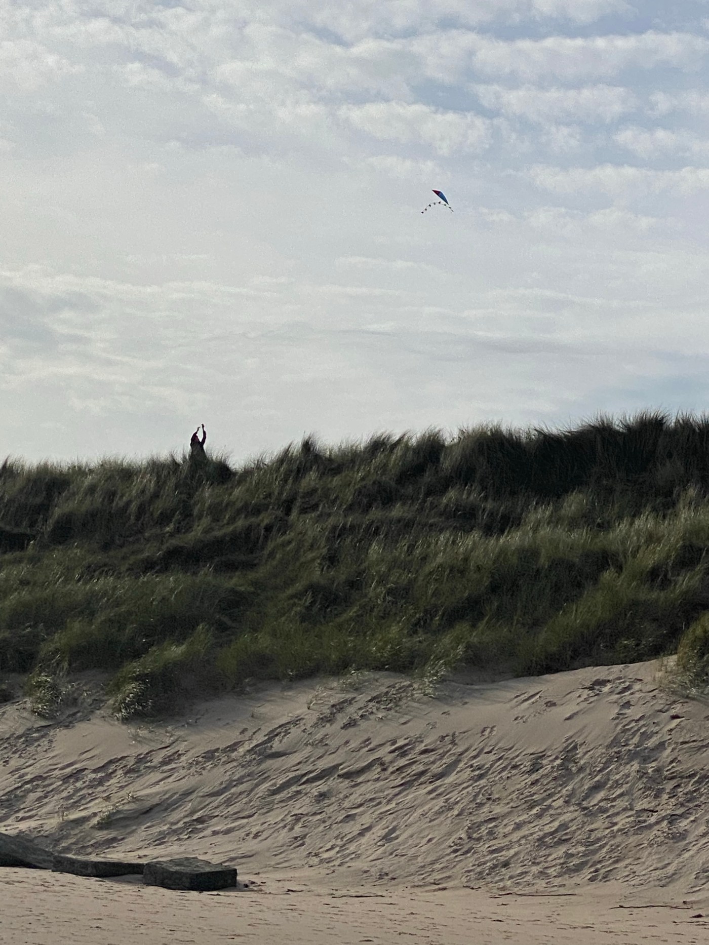 man flying a kite over sand dunes