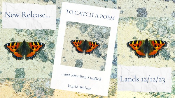 Book on collage background with butterfly