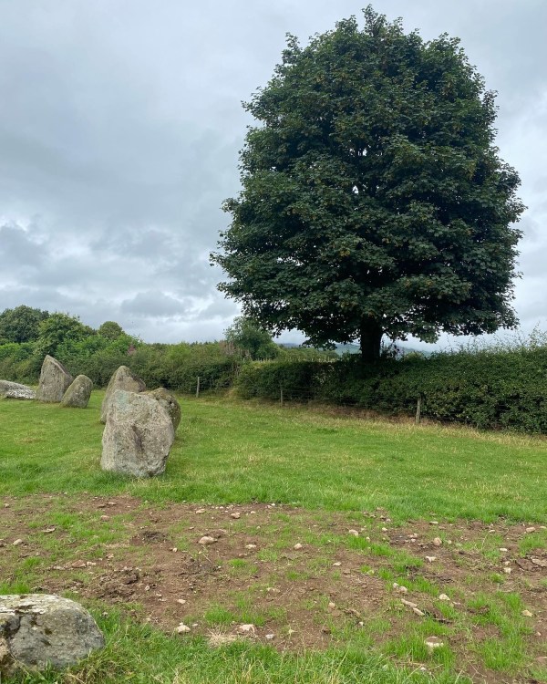 tree and standing stones