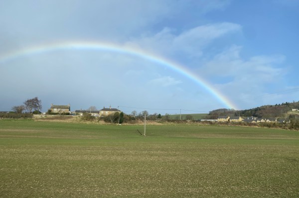 A rainbow over a field of green