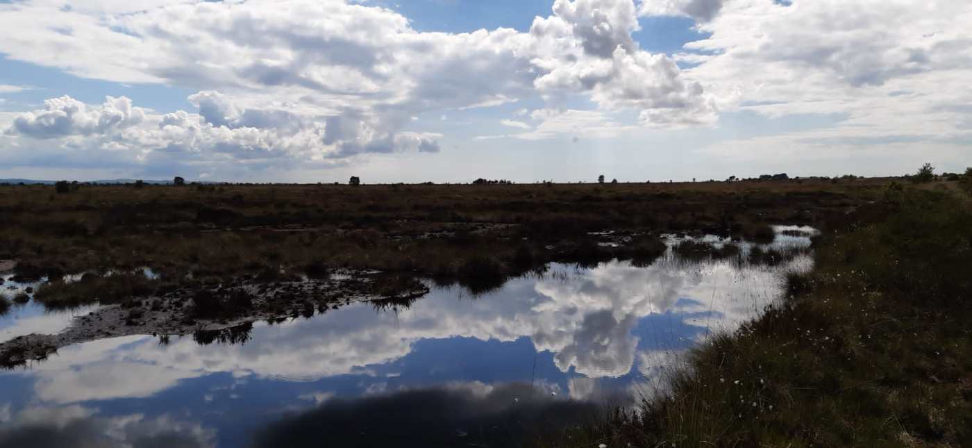 Blue sky reflected in marsh wetlands