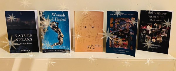 Books on shelf with festive overlay