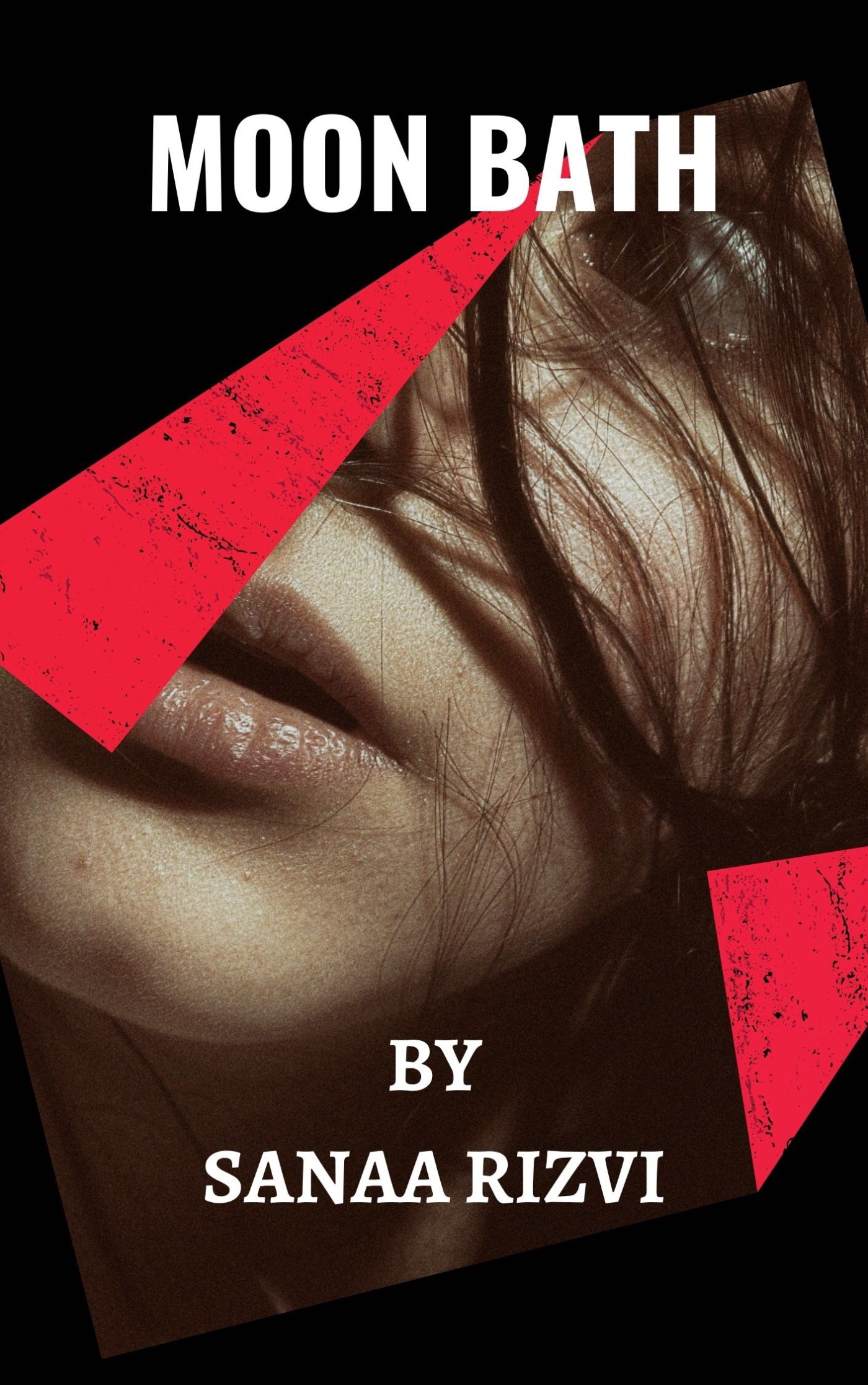 a book by Sanaa Rizvi