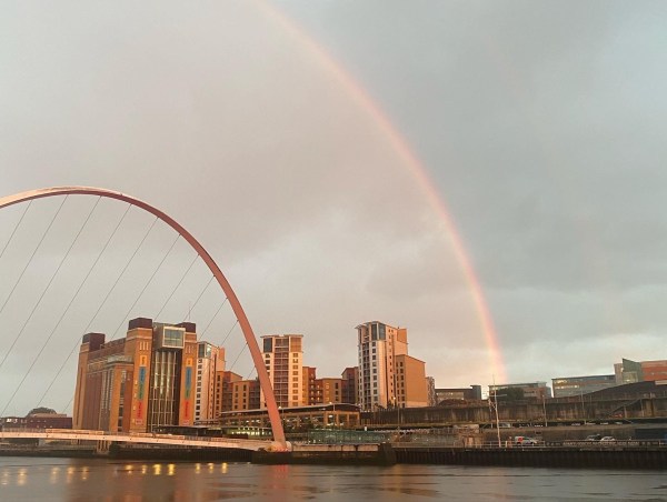bridge, rainbow, buildings