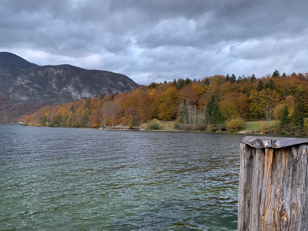 Autumn colours, lake