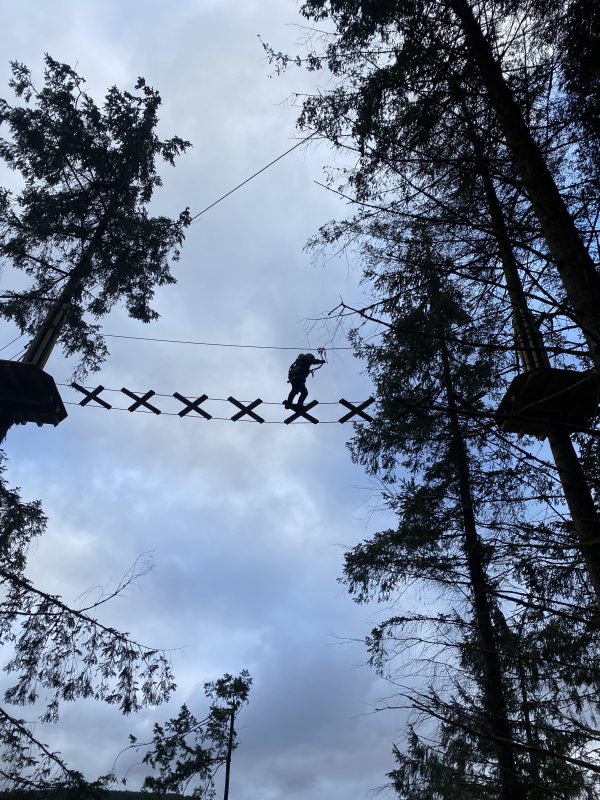 Boy on a high-wire course in tall trees