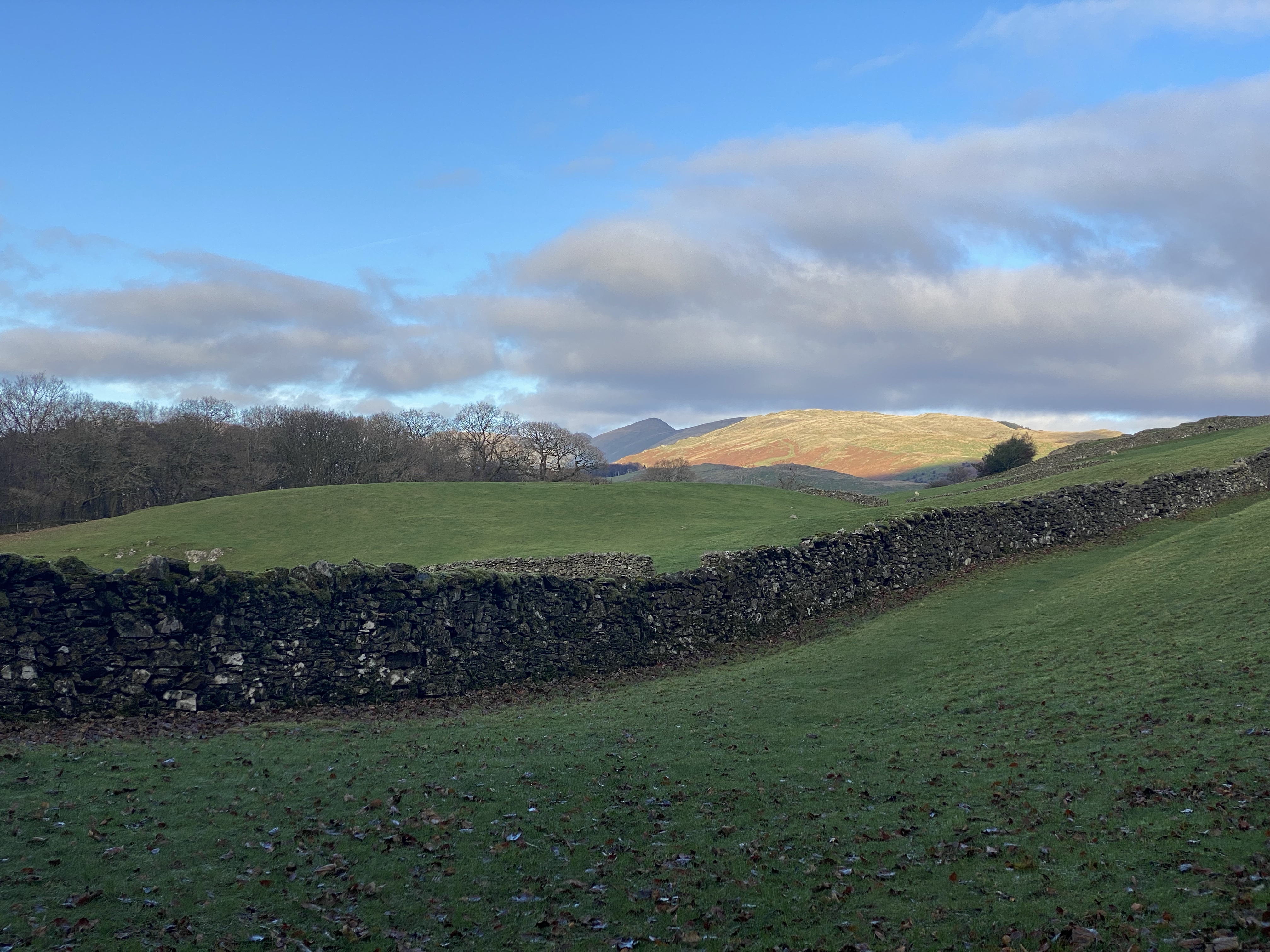 Froswick, Ill Bell and Yoke