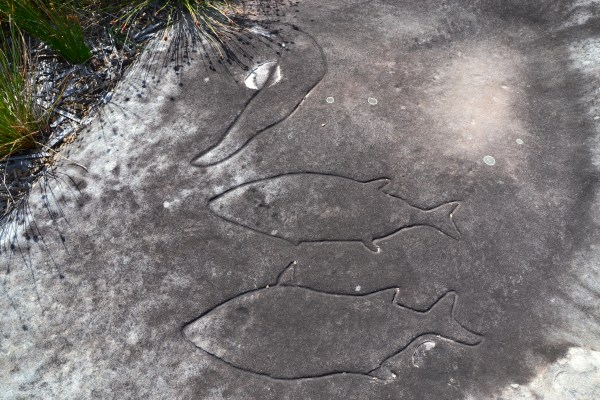 Whale Petroglyph