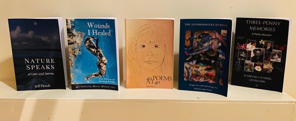 Books arranged in a row on a shelf