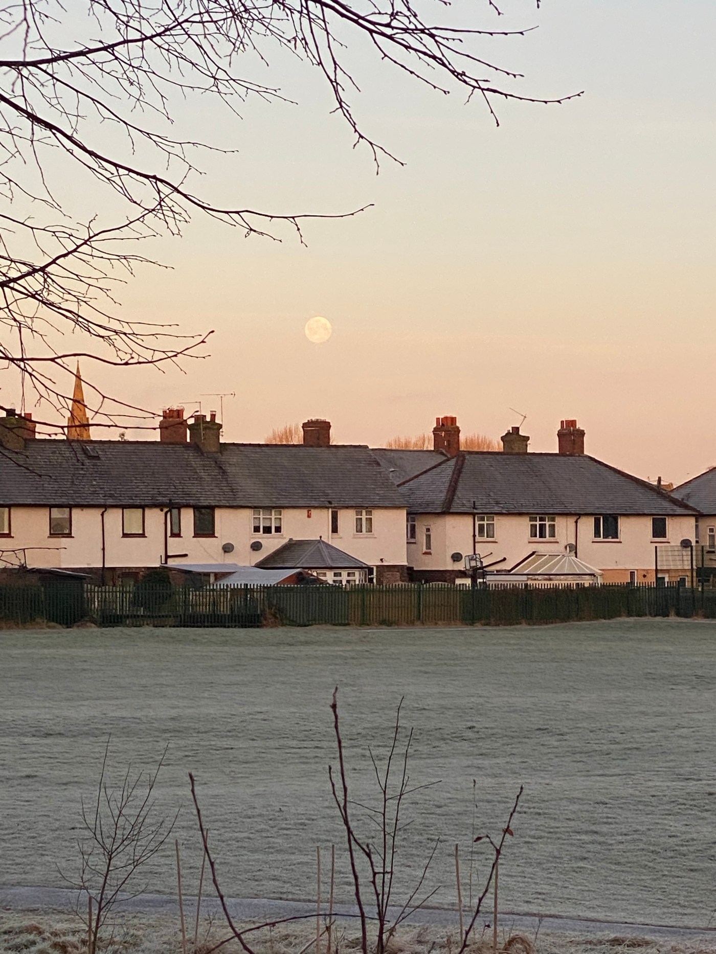 moon above terraced houses, dawn sky