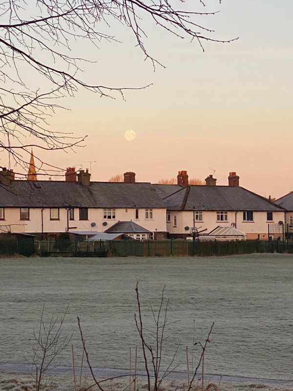 moon above terraced houses, dawn sky